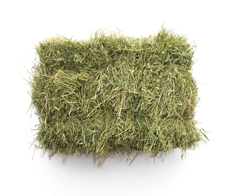 Portion KLEINMAHD Kräuterheu, freigestellt fotografiert: dicht gepresstes, kräftig grünes Wiesenheu mit hohem Blatt- und Kräuteranteil.